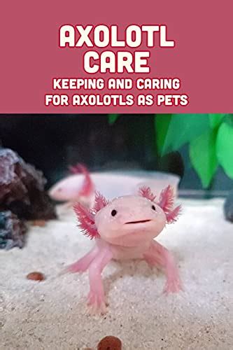 Keeping and Caring for Axolotls as Pets.